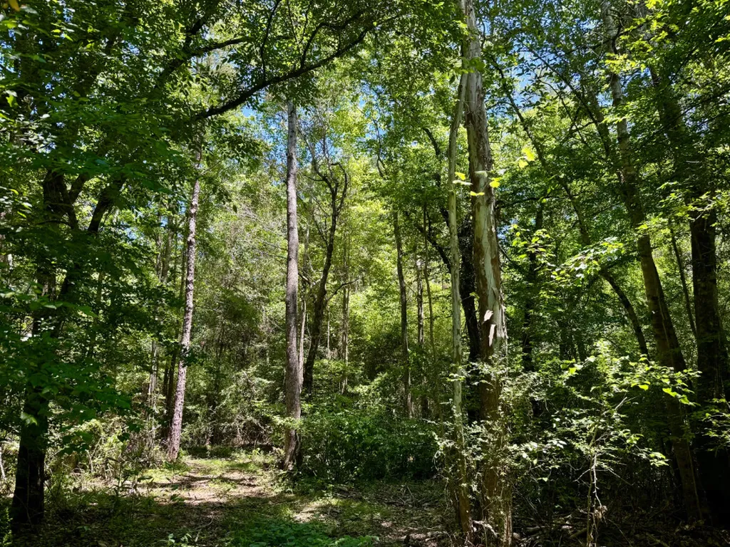 000 Private Road Berry Road Valley Grande AL 36701