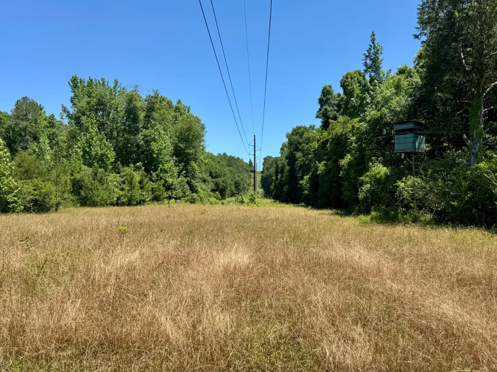 000 Private Road Berry Road Valley Grande AL 36701