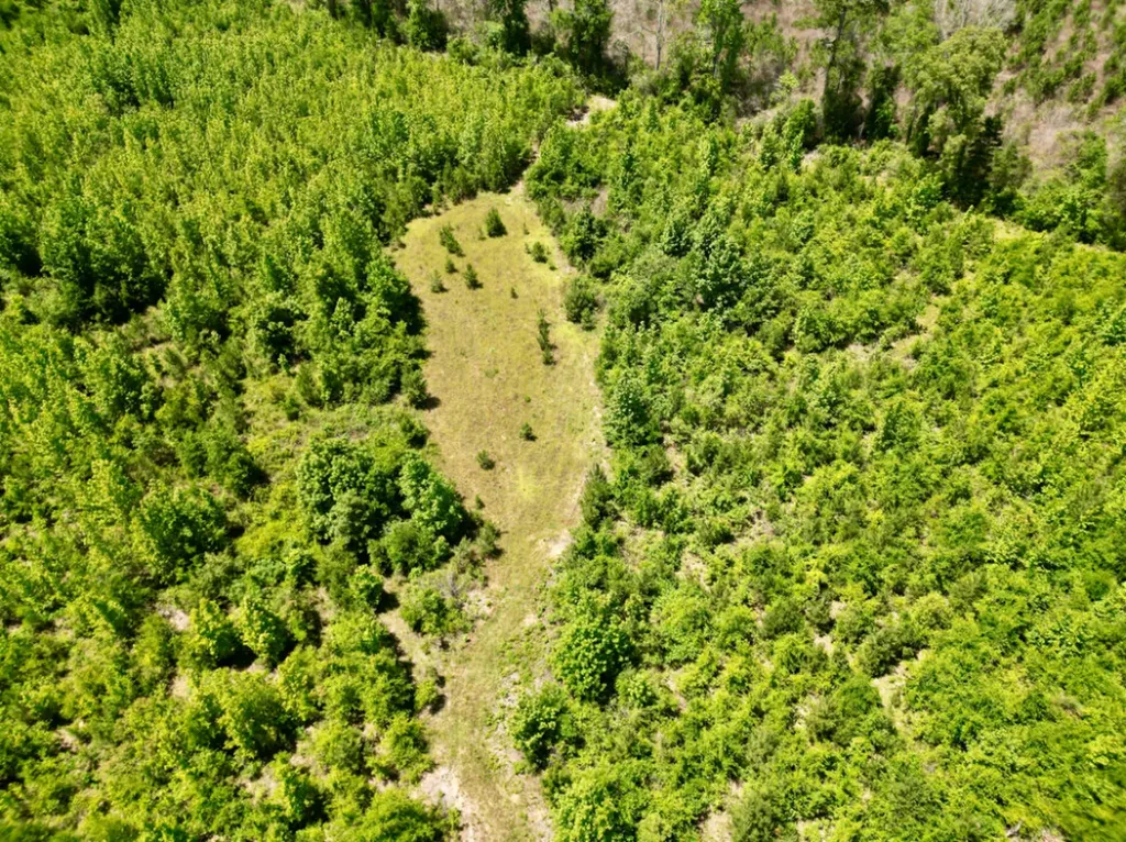 000 Private Road Berry Road Valley Grande AL 36701