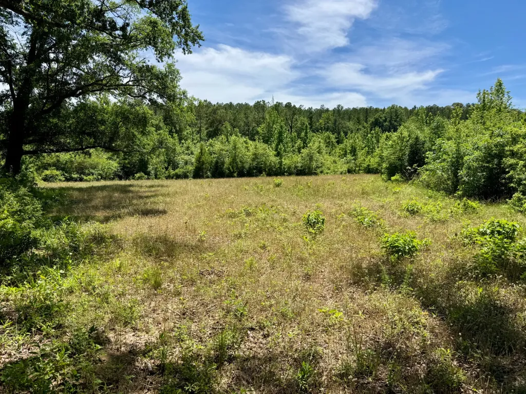 000 Private Road Berry Road Valley Grande AL 36701