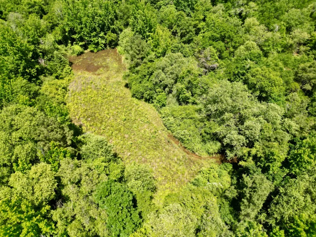 000 Private Road Berry Road Valley Grande AL 36701