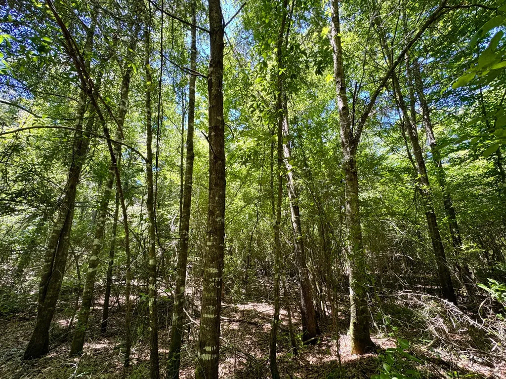 000 Private Road Berry Road Valley Grande AL 36701