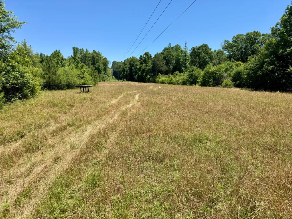 000 Private Road Berry Road Valley Grande AL 36701