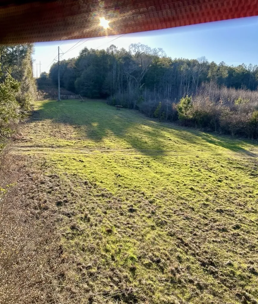 000 Private Road Berry Road Valley Grande AL 36701