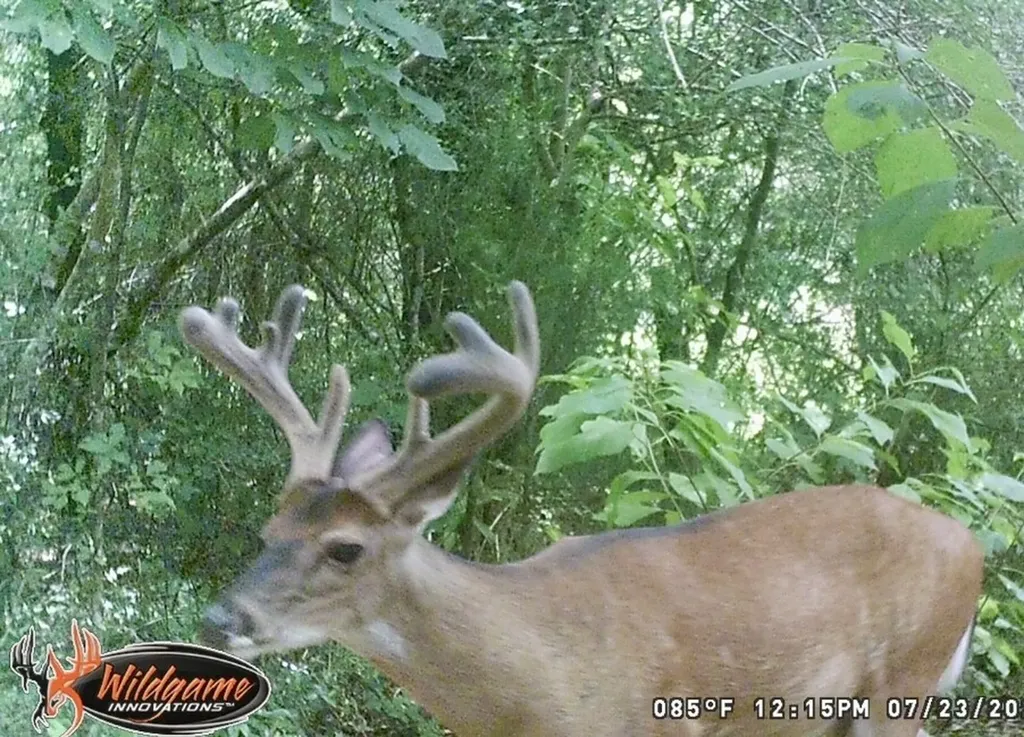 000 Private Road Berry Road Valley Grande AL 36701