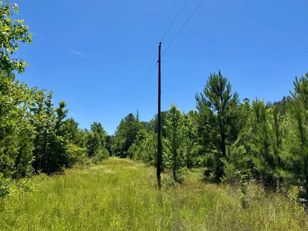 000 Private Road Berry Road Valley Grande AL 36701