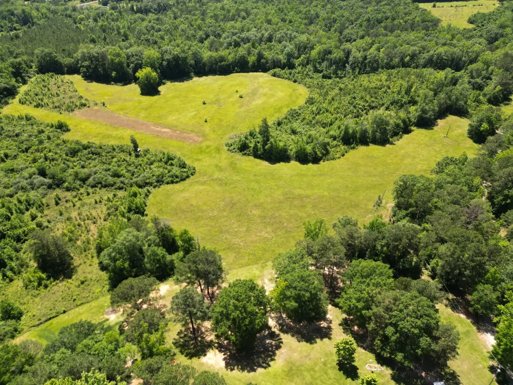 00 Berry Road Valley Grande AL 36701