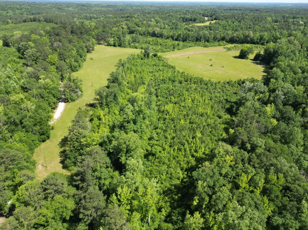 00 Berry Road Valley Grande AL 36701