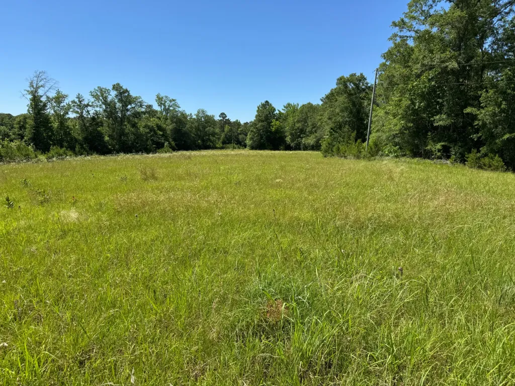 00 Berry Road Valley Grande AL 36701