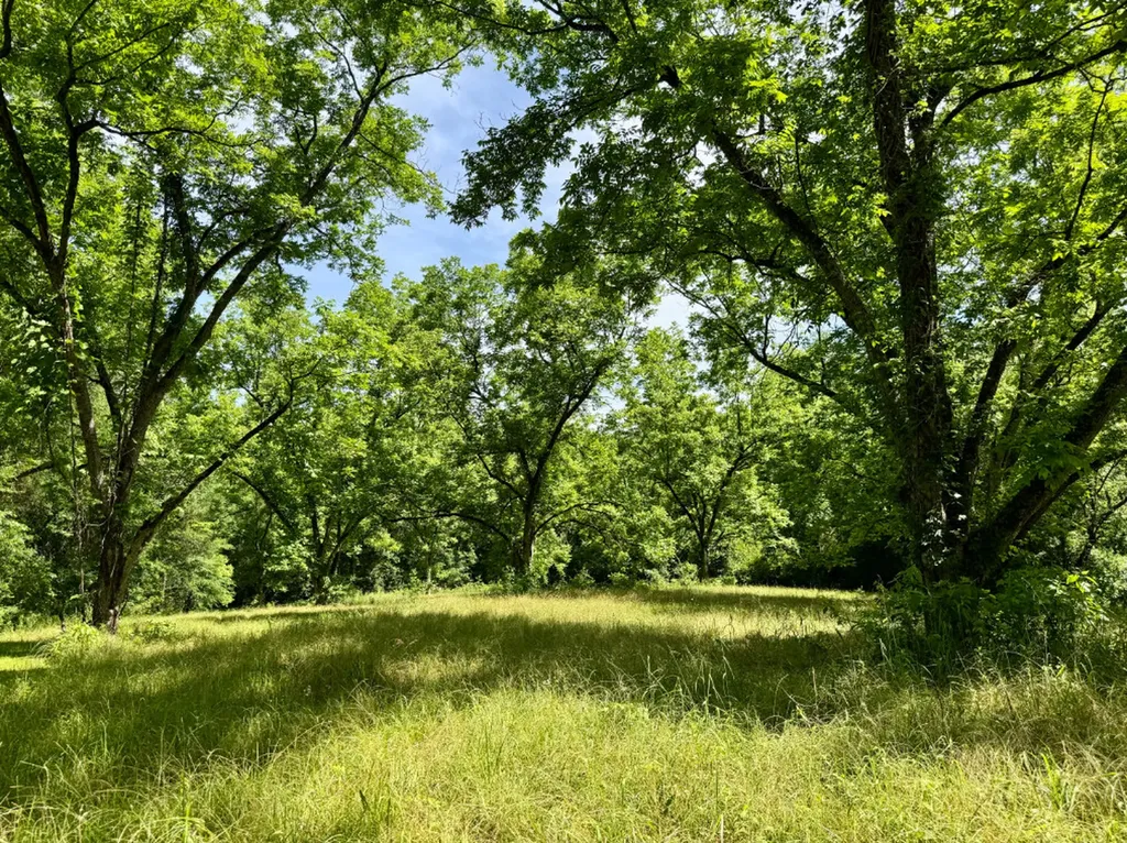 00 Berry Road Valley Grande AL 36701