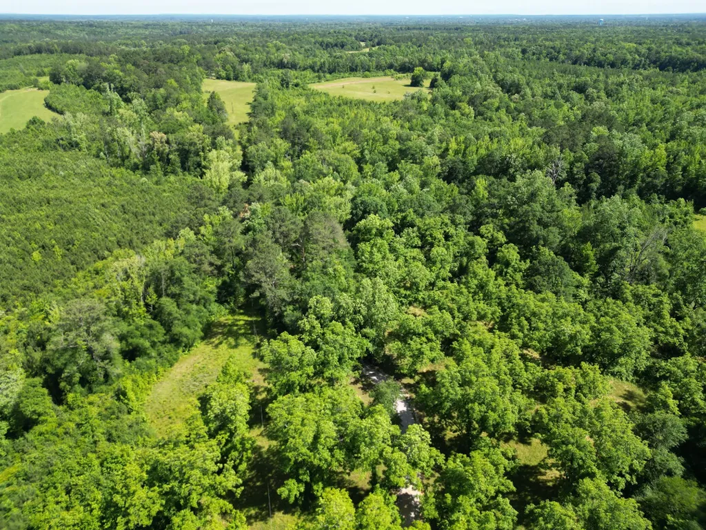 00 Berry Road Valley Grande AL 36701