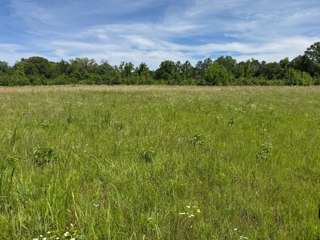 00 Berry Road Valley Grande AL 36701