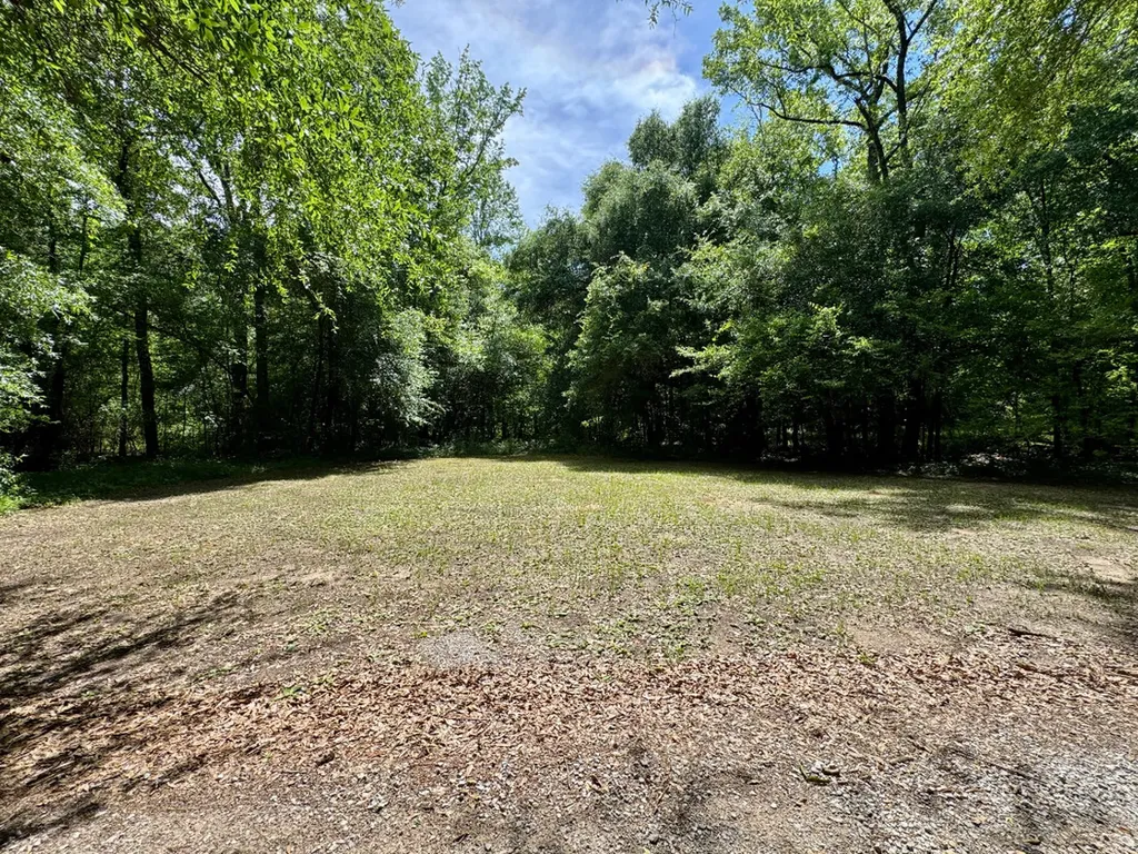 00 Berry Road Valley Grande AL 36701