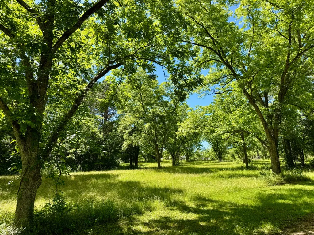 00 Berry Road Valley Grande AL 36701