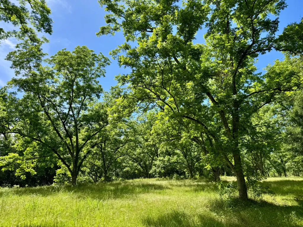 00 Berry Road Valley Grande AL 36701