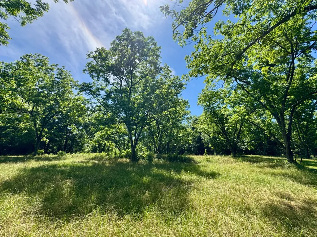 00 Berry Road Valley Grande AL 36701