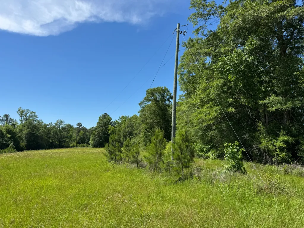 00 Berry Road Valley Grande AL 36701