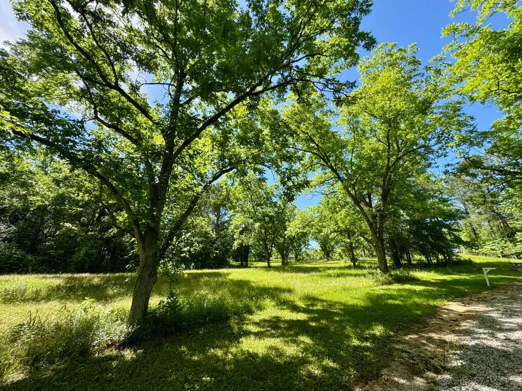 00 Berry Road Valley Grande AL 36701