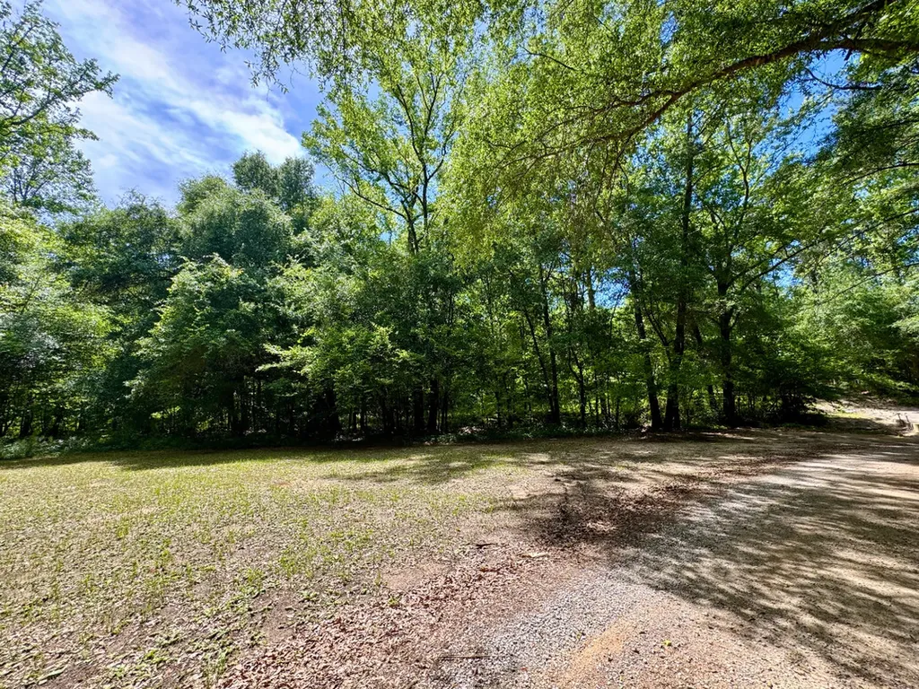 00 Berry Road Valley Grande AL 36701