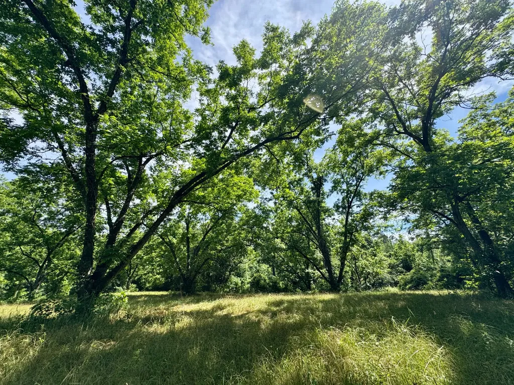 00 Berry Road Valley Grande AL 36701