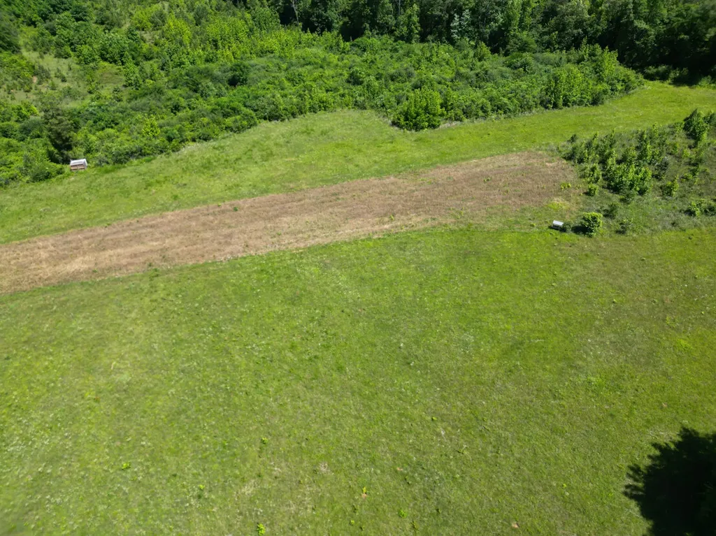 00 Berry Road Valley Grande AL 36701