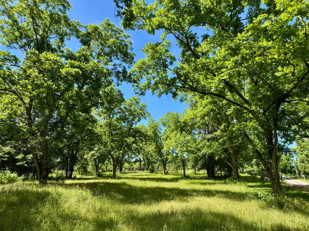 00 Berry Road Valley Grande AL 36701