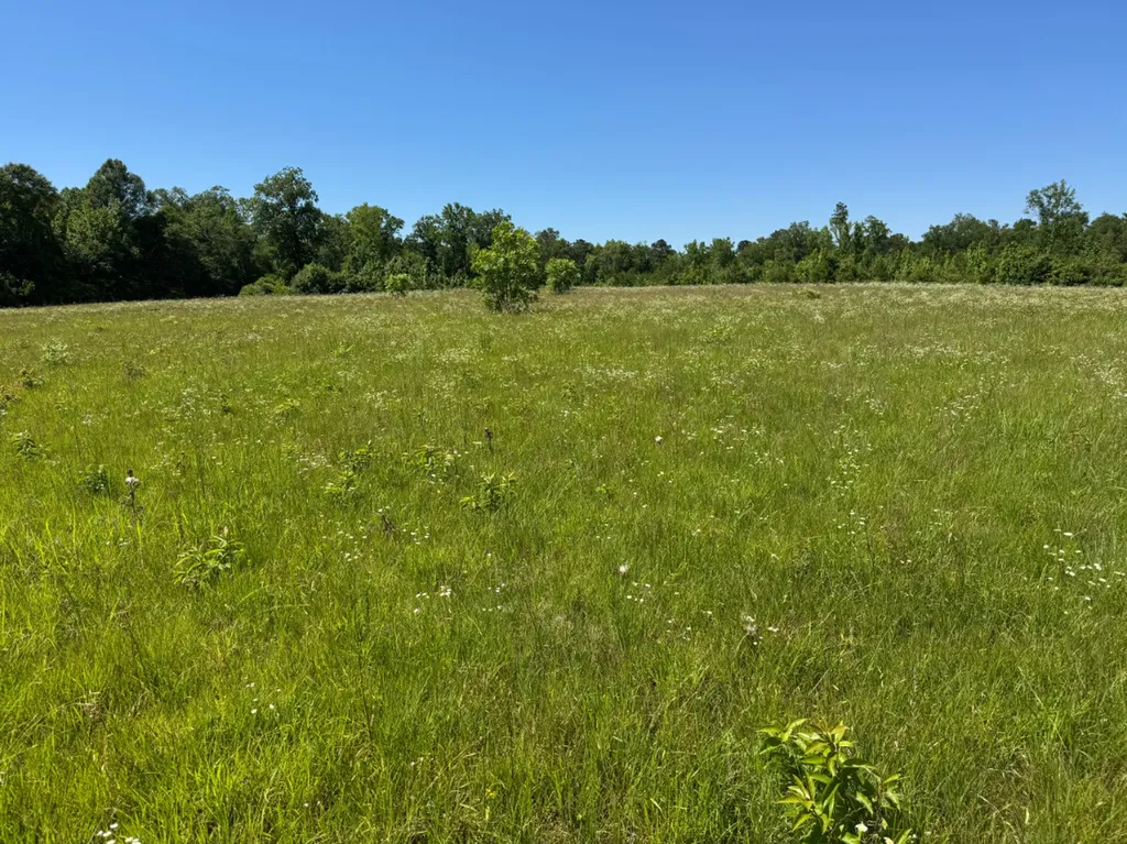 00 Berry Road Valley Grande AL 36701