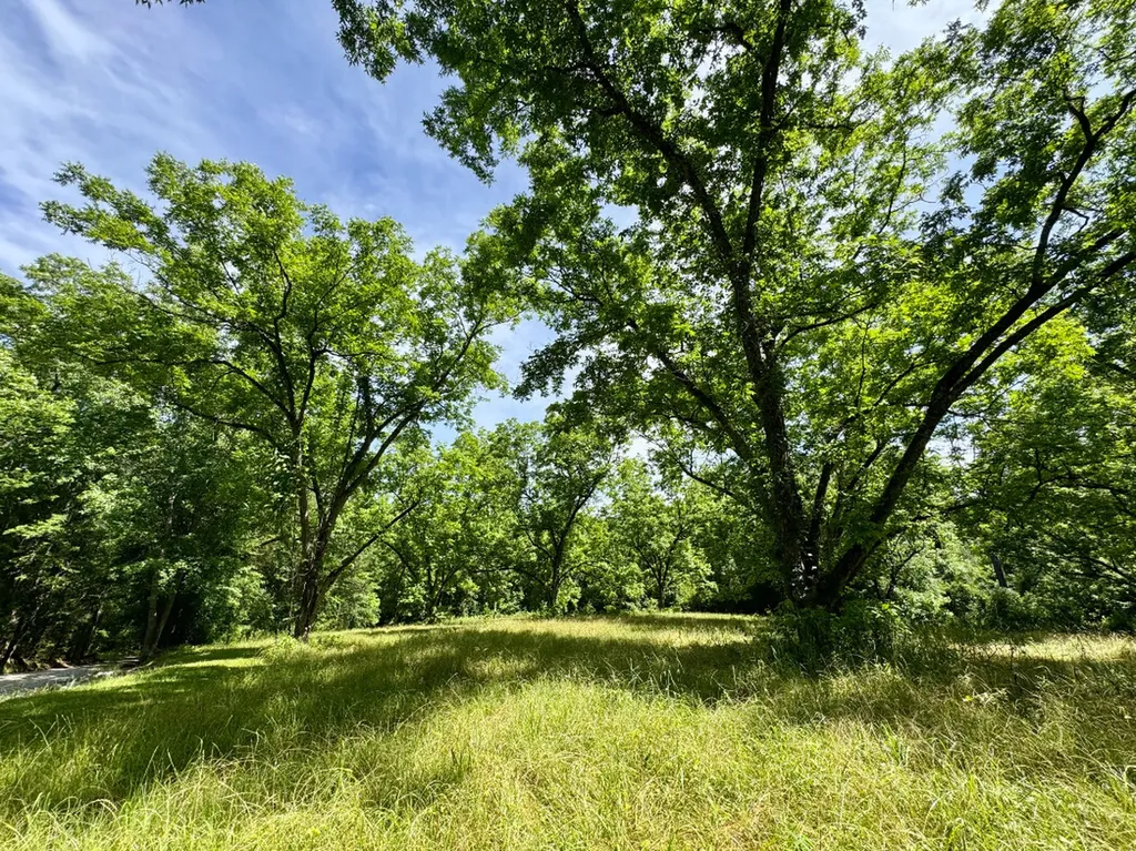 00 Berry Road Valley Grande AL 36701