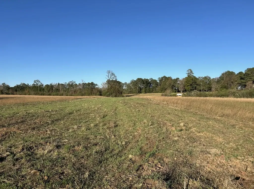 00 Berry Road Valley Grande AL 36701