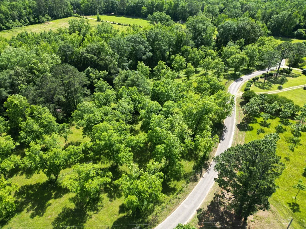 00 Berry Road Valley Grande AL 36701