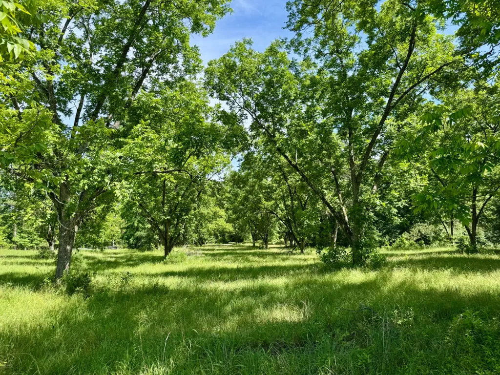 00 Berry Road Valley Grande AL 36701