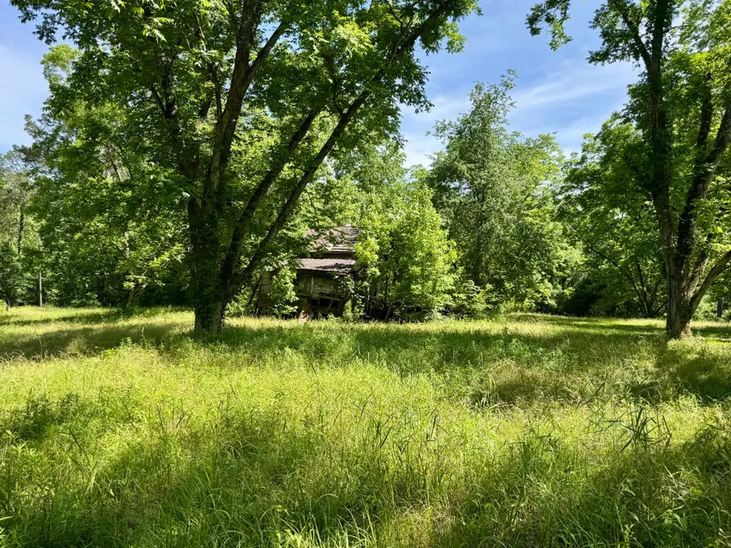 0 Berry Road Valley Grande AL 36701