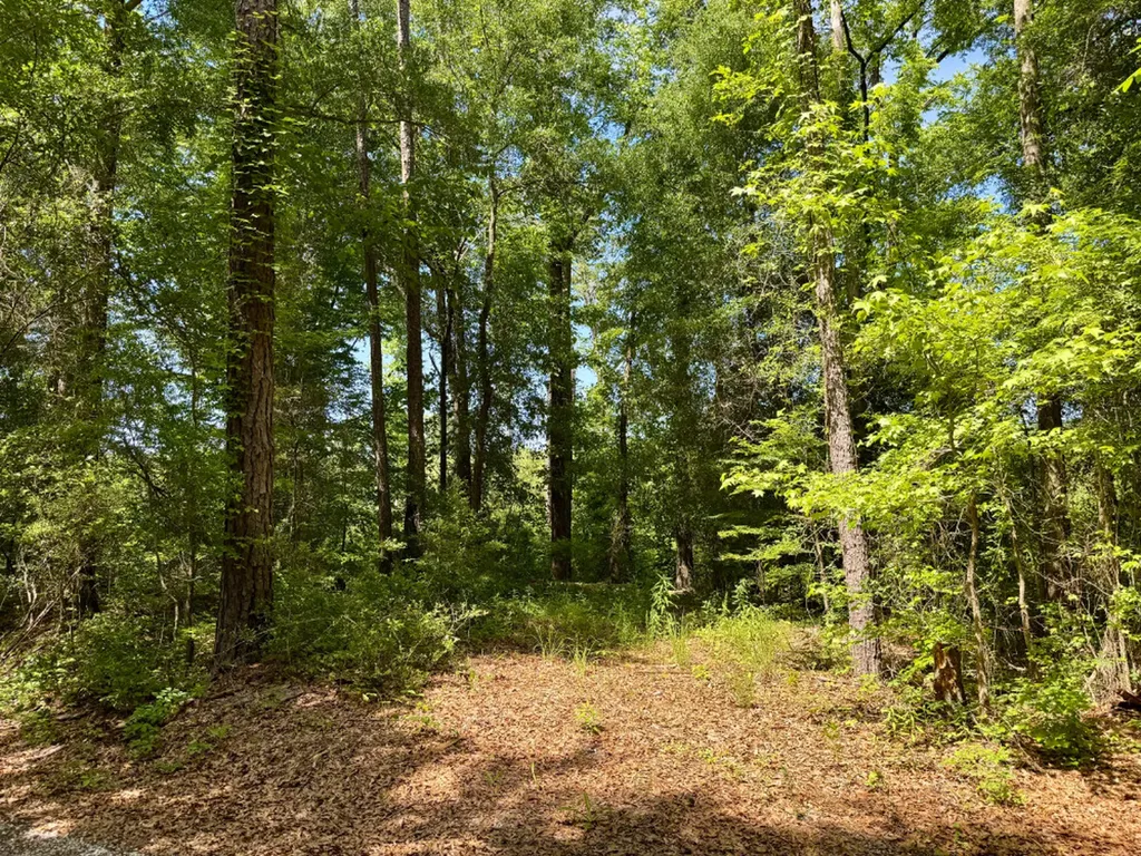 0 Berry Road Valley Grande AL 36701