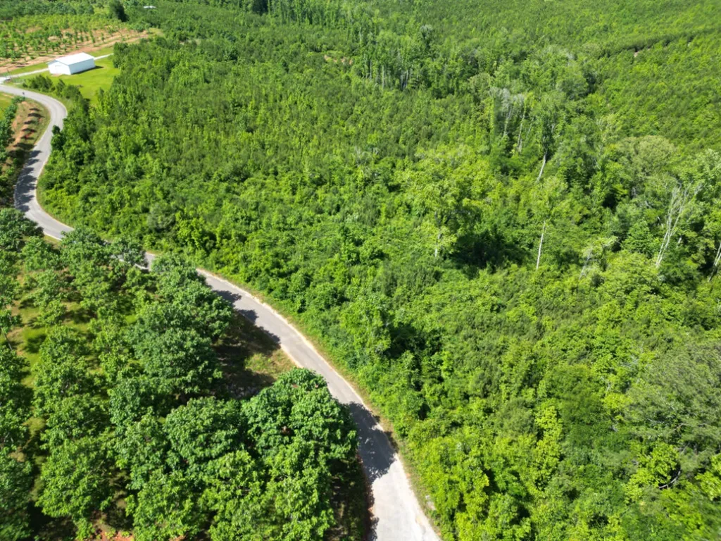 0 Berry Road Valley Grande AL 36701