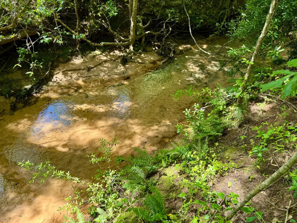 0 Berry Road Valley Grande AL 36701