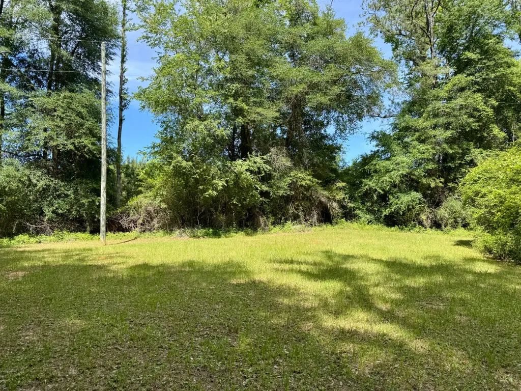 0 Berry Road Valley Grande AL 36701