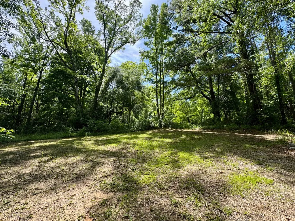 0 Berry Road Valley Grande AL 36701