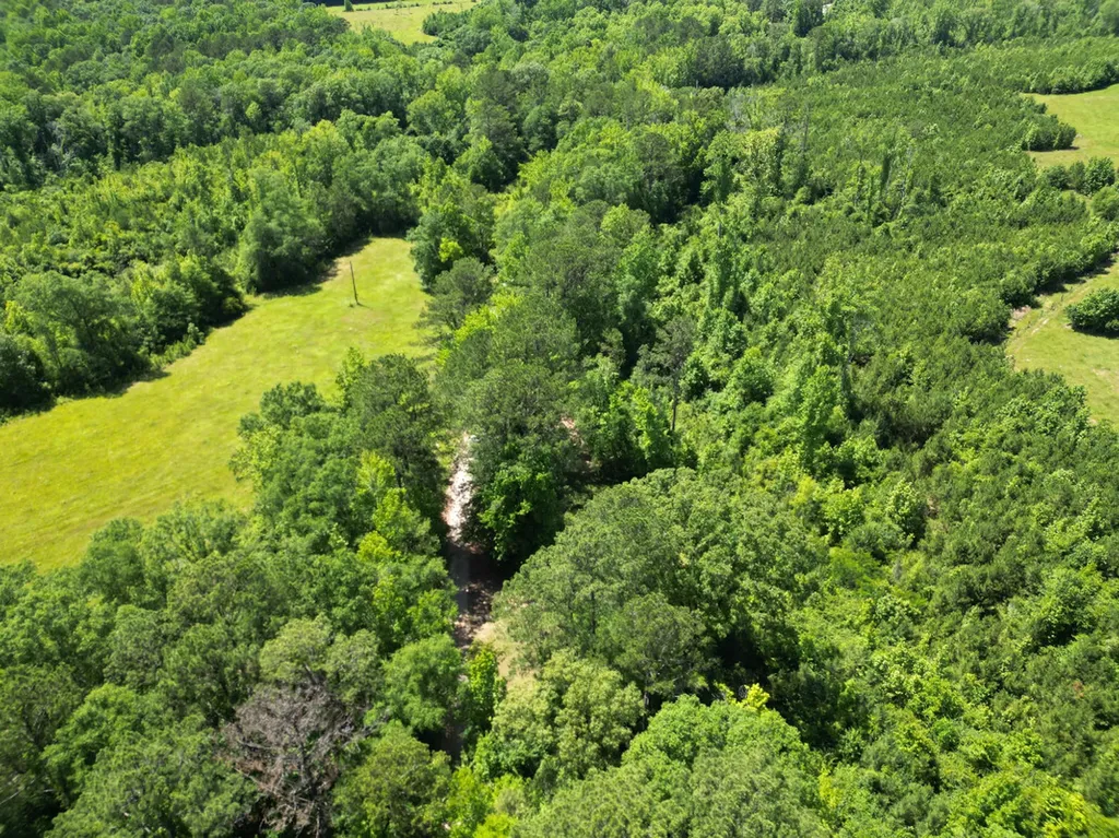 0 Berry Road Valley Grande AL 36701