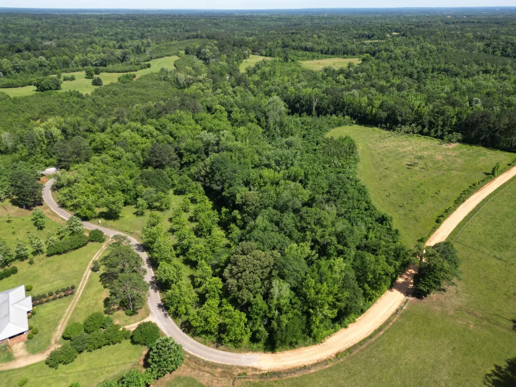 0 Berry Road Valley Grande AL 36701