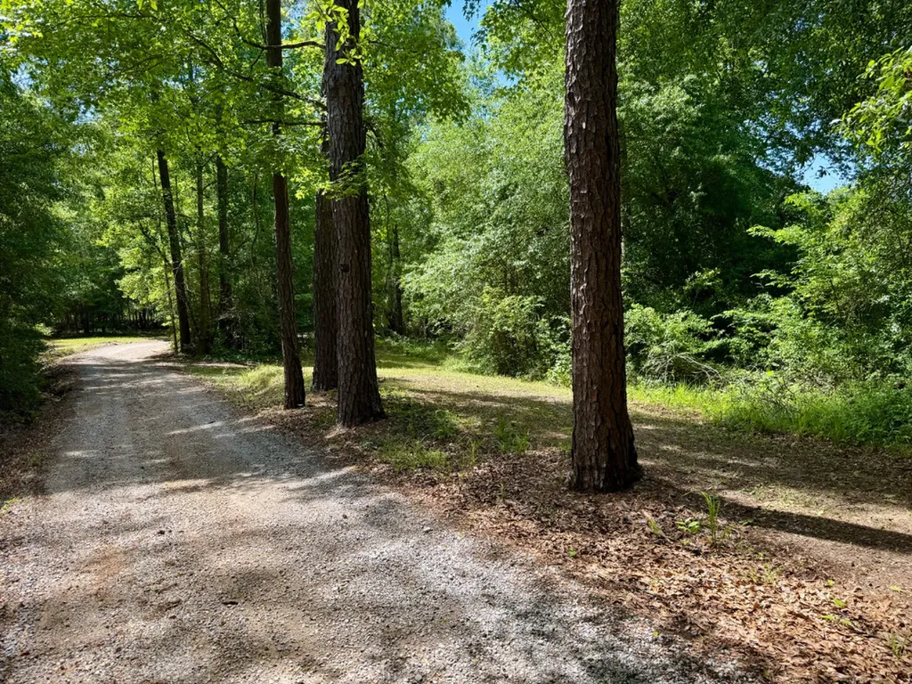 0 Berry Road Valley Grande AL 36701