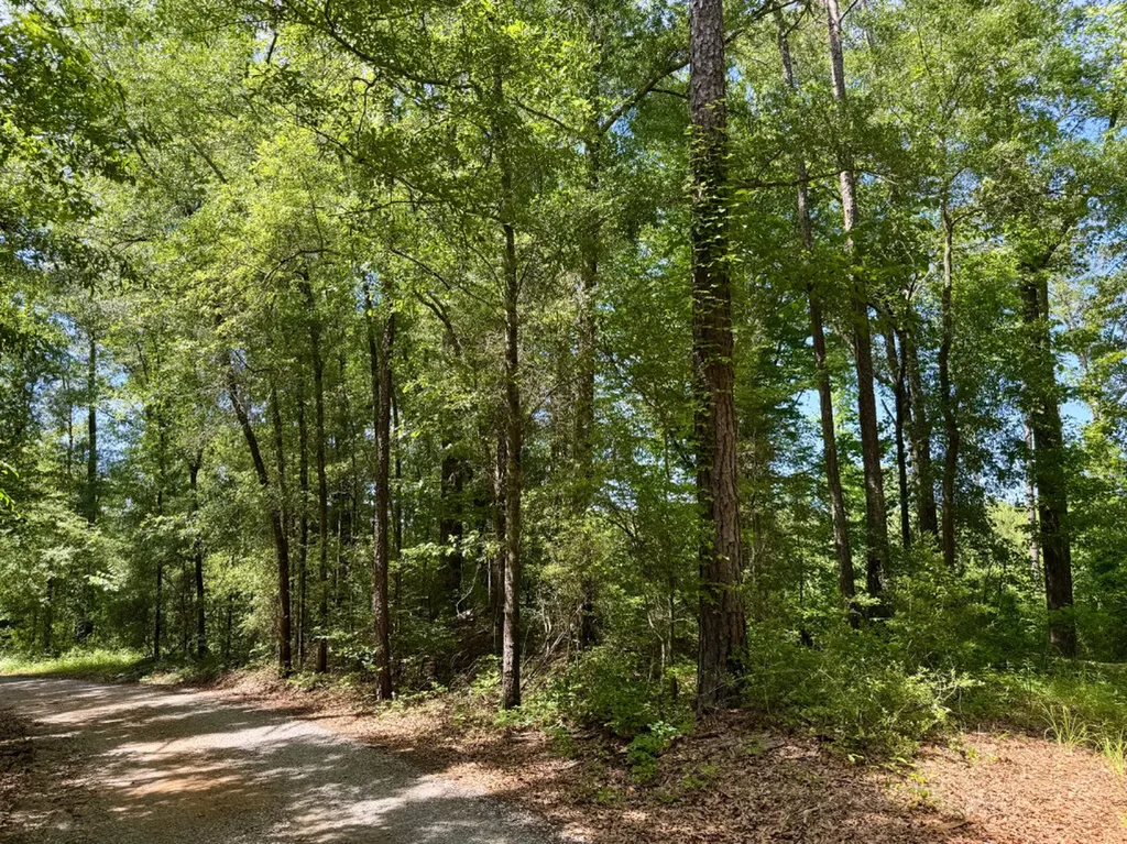 0 Berry Road Valley Grande AL 36701