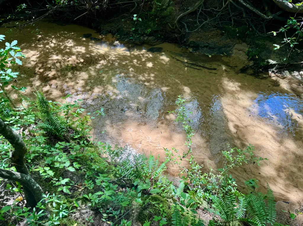 0 Berry Road Valley Grande AL 36701