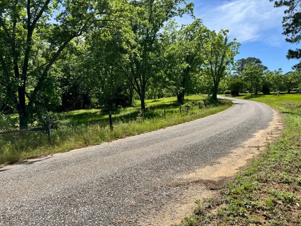 0 Berry Road Valley Grande AL 36701