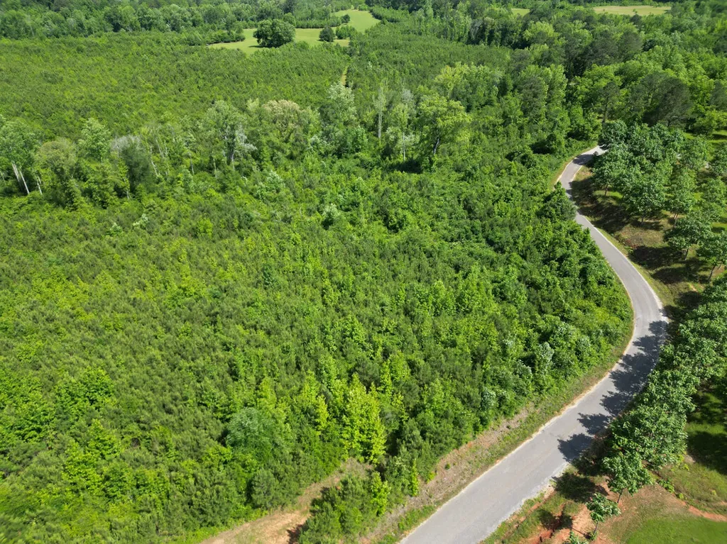 0 Berry Road Valley Grande AL 36701