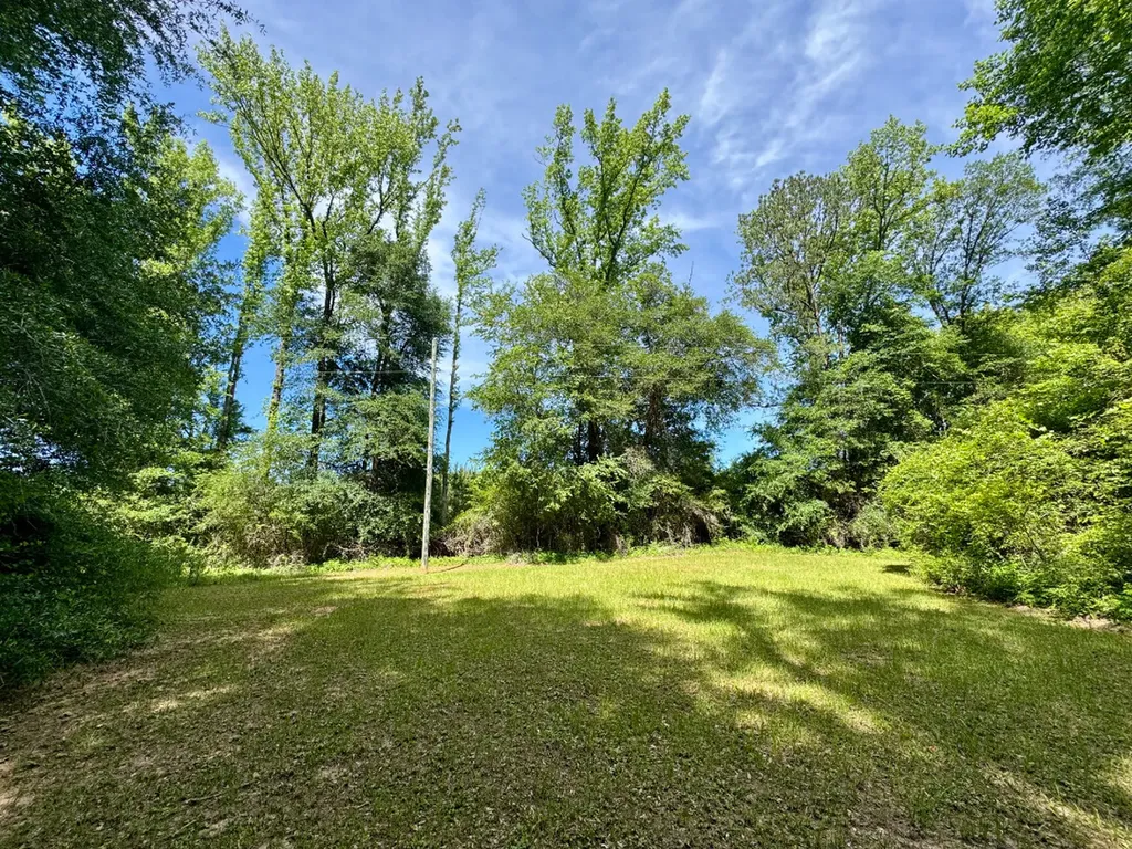 0 Berry Road Valley Grande AL 36701