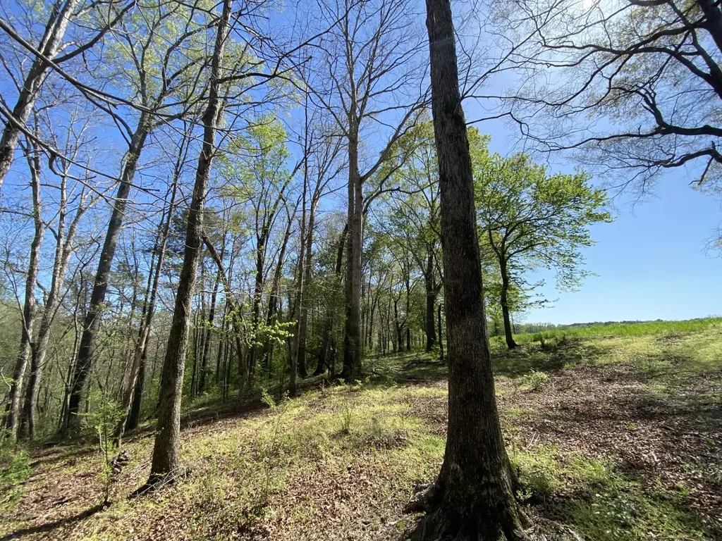 391 Co Road 1171 Cullman AL 35057