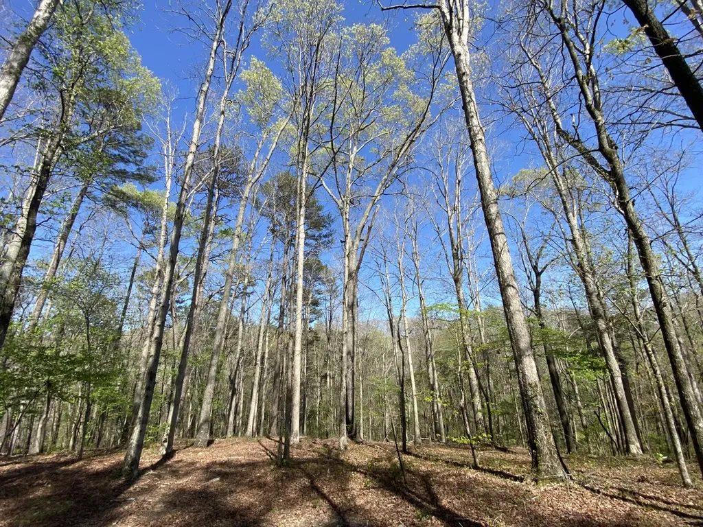 391 Co Road 1171 Cullman AL 35057