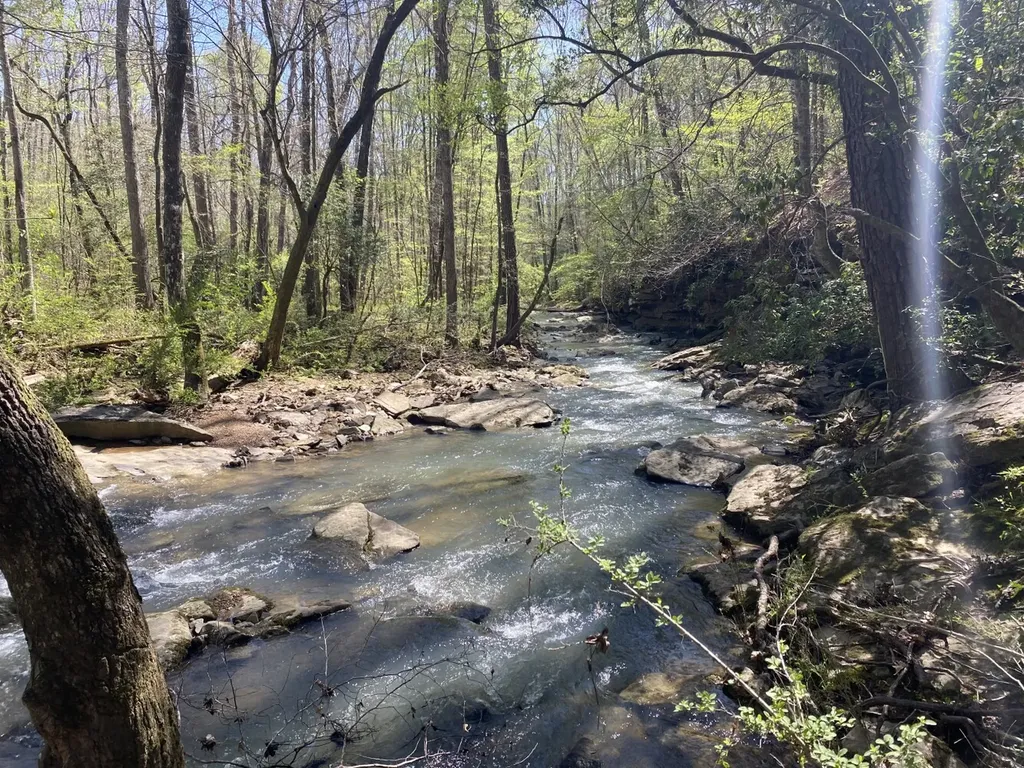 661 Co Road 1171 Cullman AL 35057