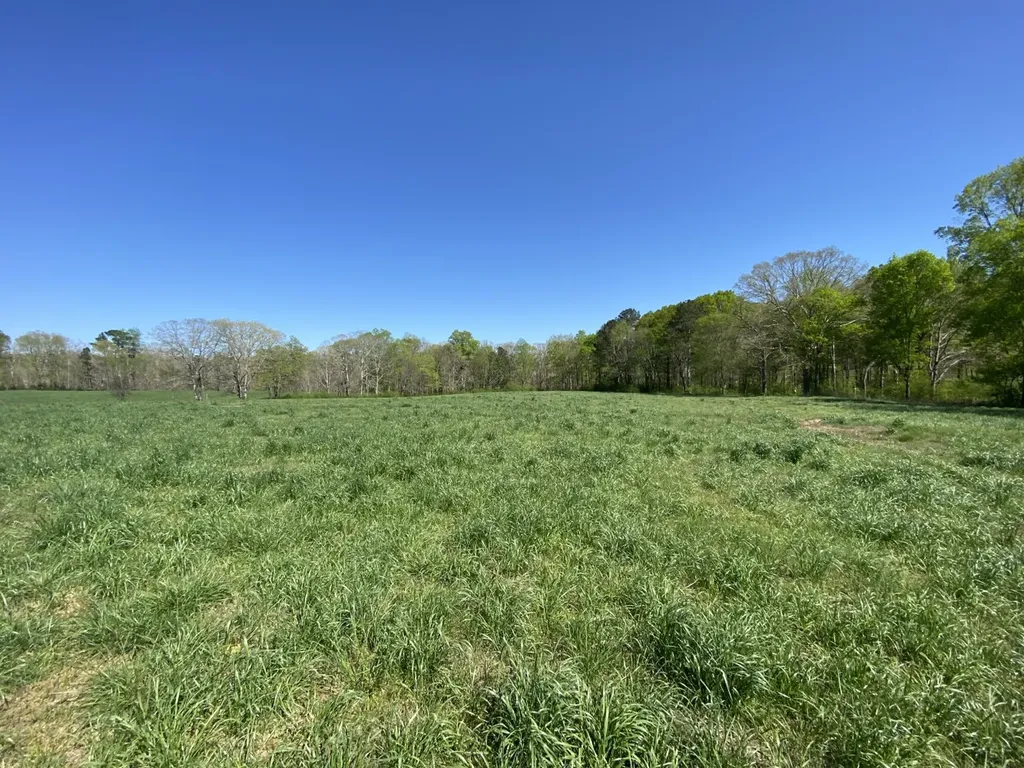 661 Co Road 1171 Cullman AL 35057