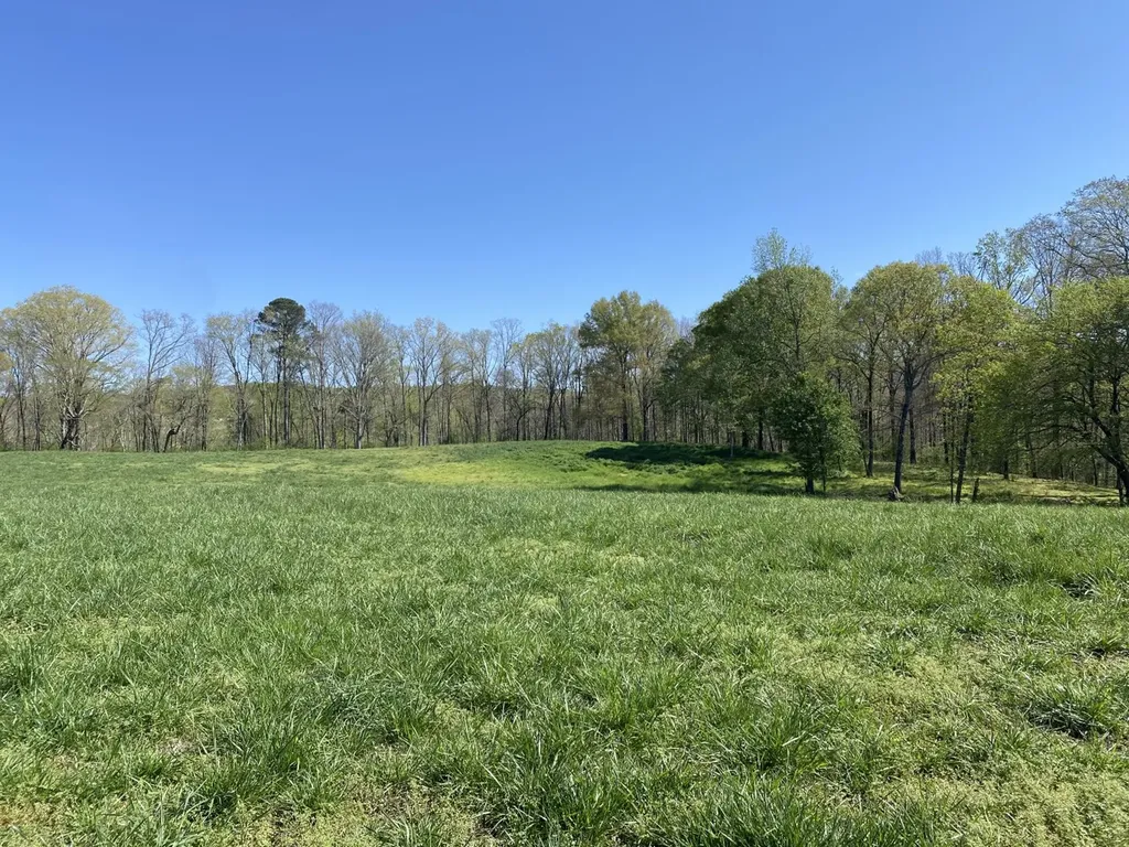 661 Co Road 1171 Cullman AL 35057